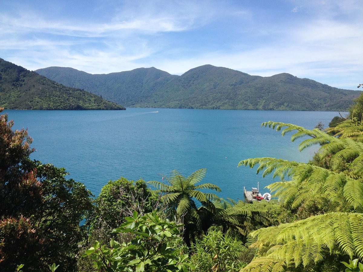 Punga Cove Resort Endeavour Inlet Eksteriør billede
