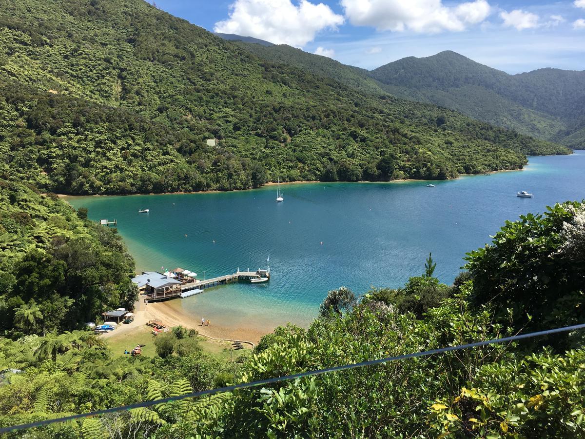 Punga Cove Resort Endeavour Inlet Eksteriør billede
