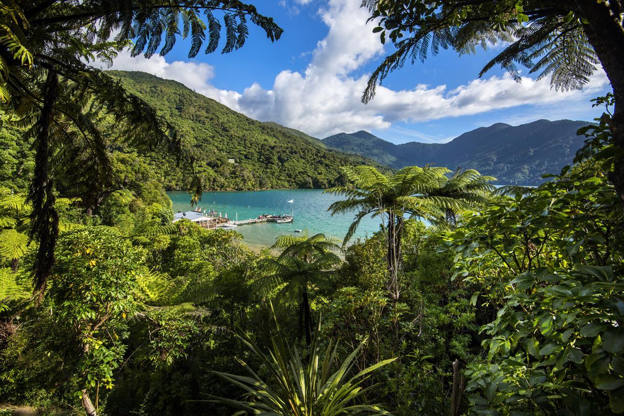 Punga Cove Resort Endeavour Inlet Eksteriør billede